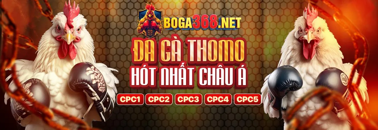 Hướng dẫn đăng ký và chơi đá gà