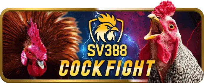 Chơi slot trên điện thoại di động với i999 casino